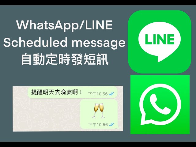 WhatsApp怎么发定时消息？